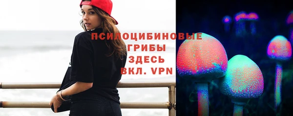 трава Верхнеуральск