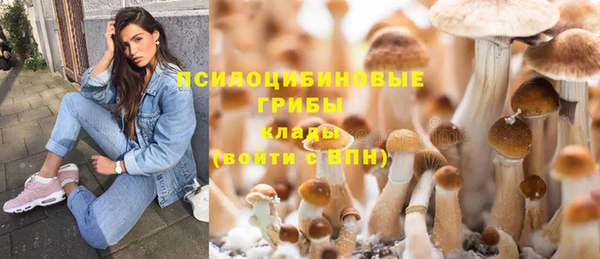 каннабис Верея